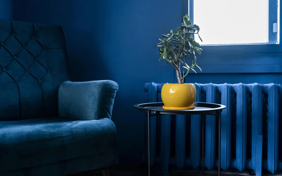 Niebieska kanapa w salonie – aranżacje i inspiracje